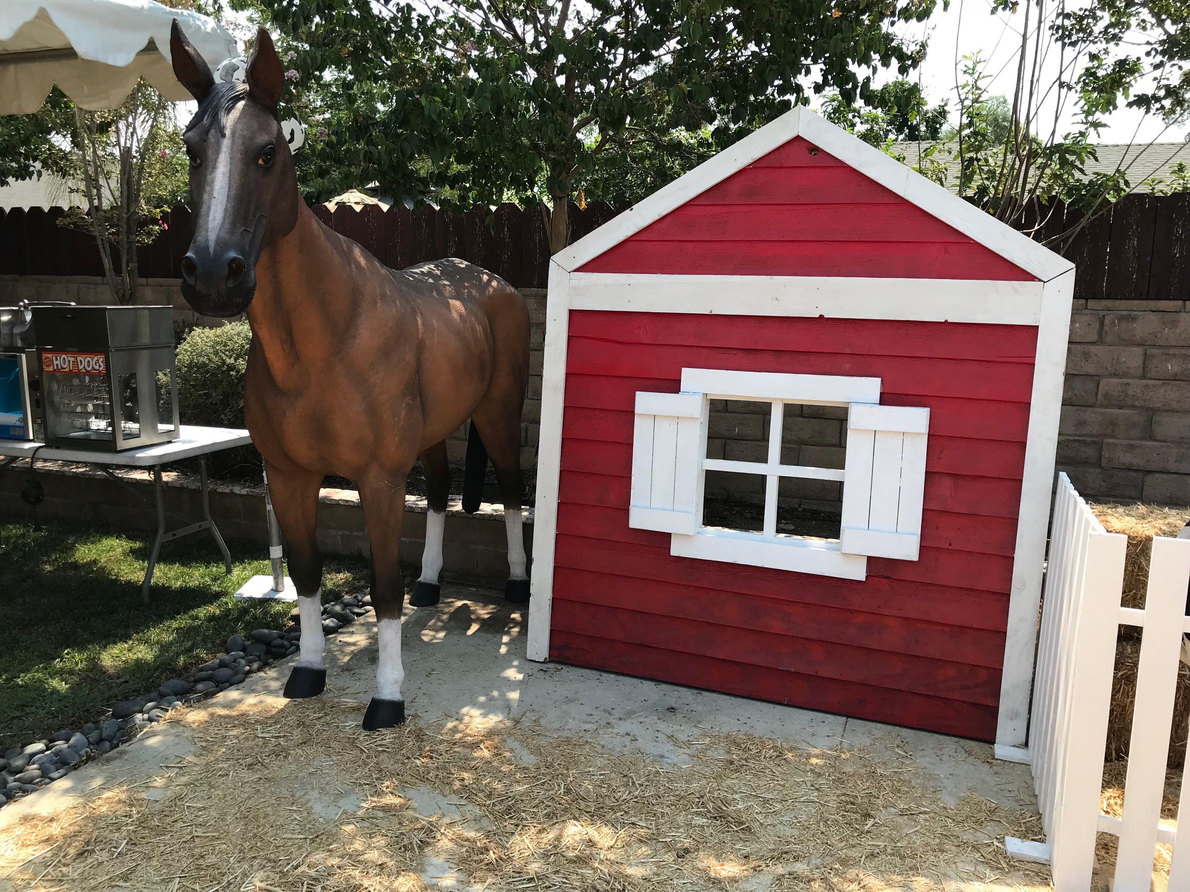 Large Tan & White Horse