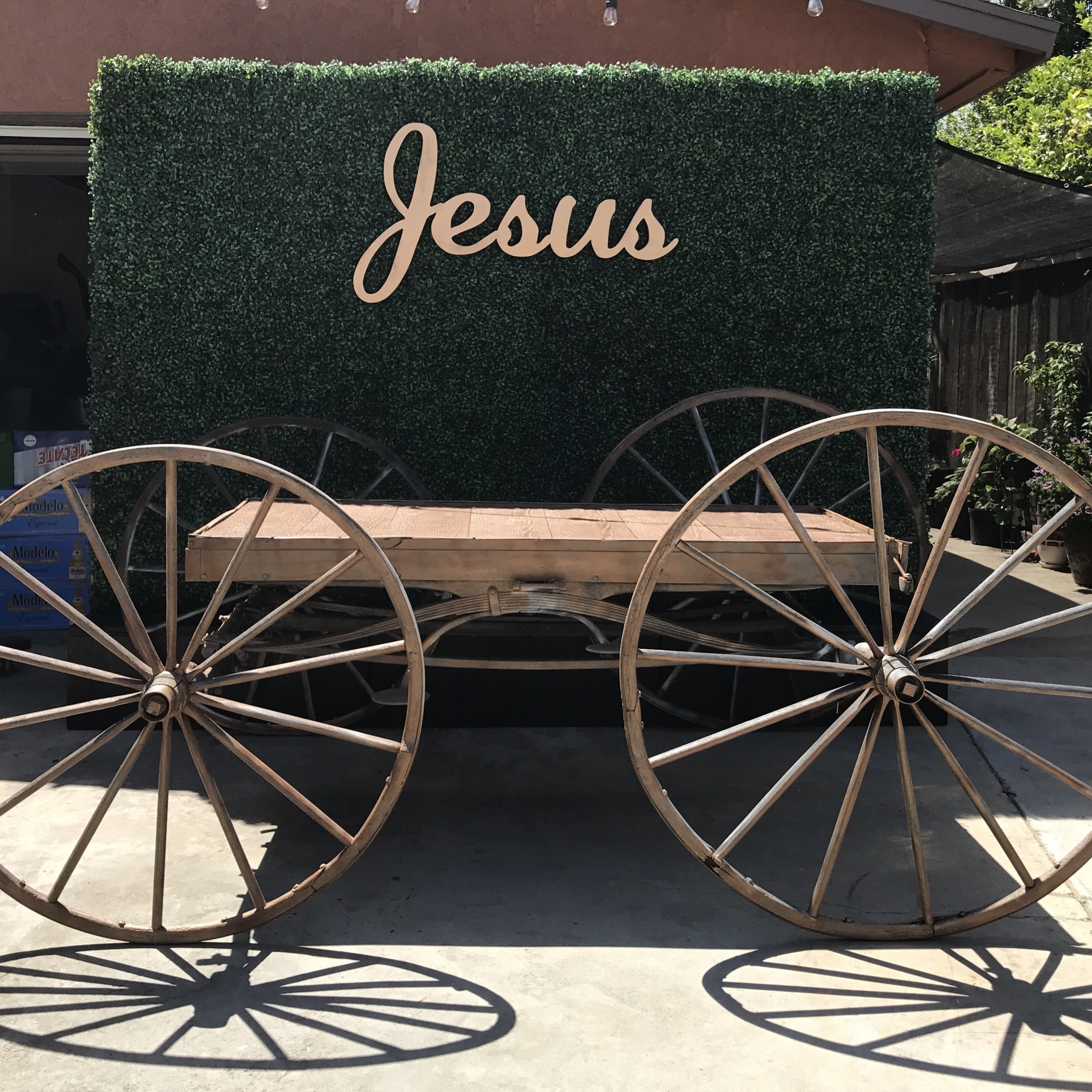 Hedge Wall With Black Base