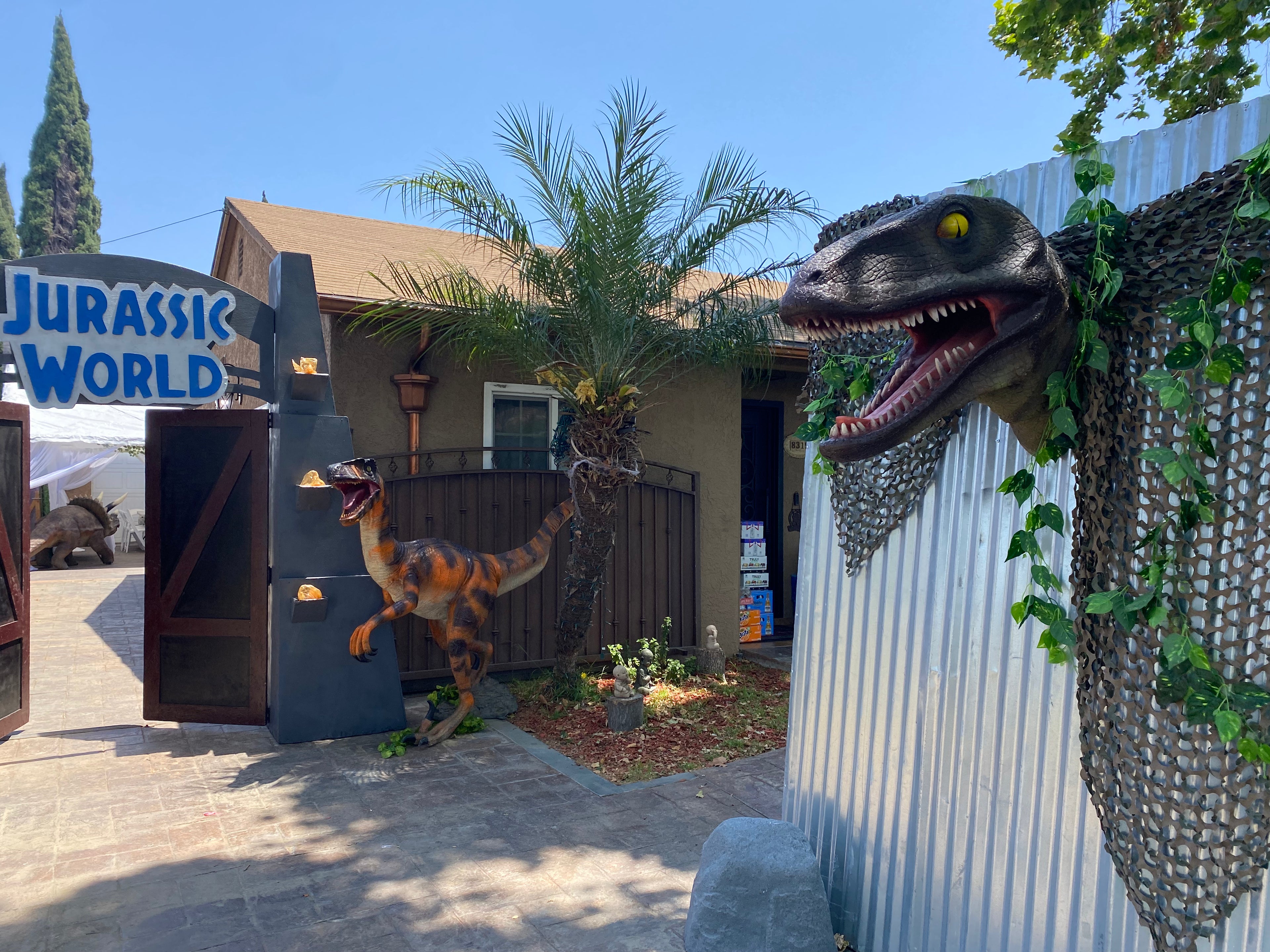 Dinosaur Head Backdrop