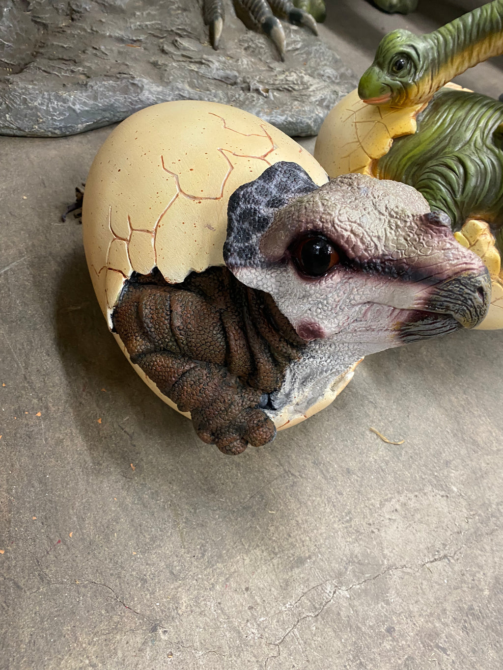 Triceratops Baby Dinosaur Egg