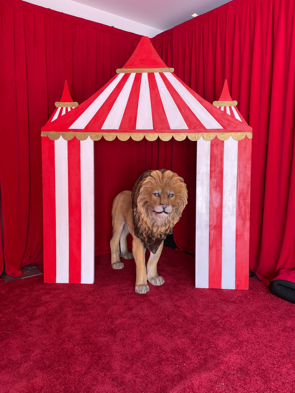 Red Circus / Carnival Tent Backdrop