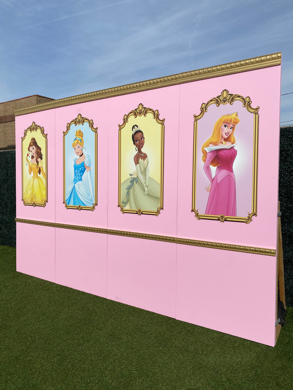 Princess Tiana Backdrop Panel