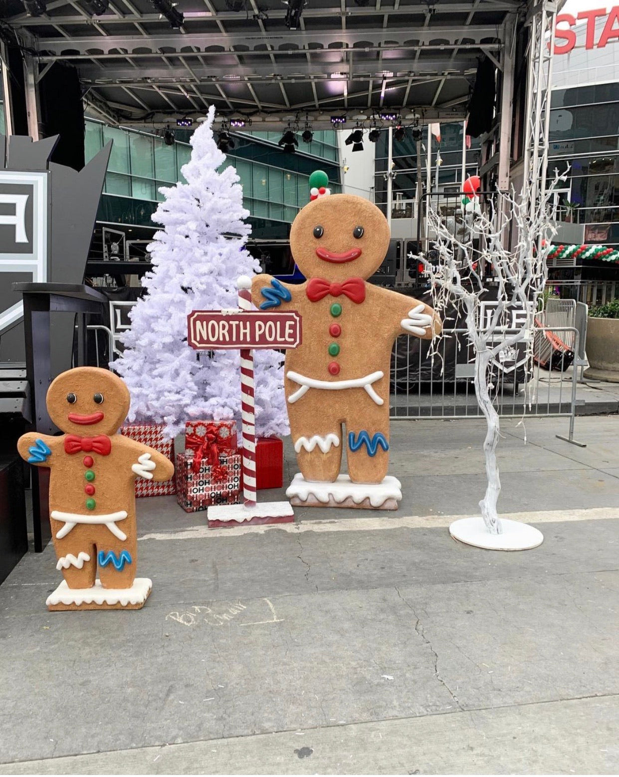 White Manzanita Tree