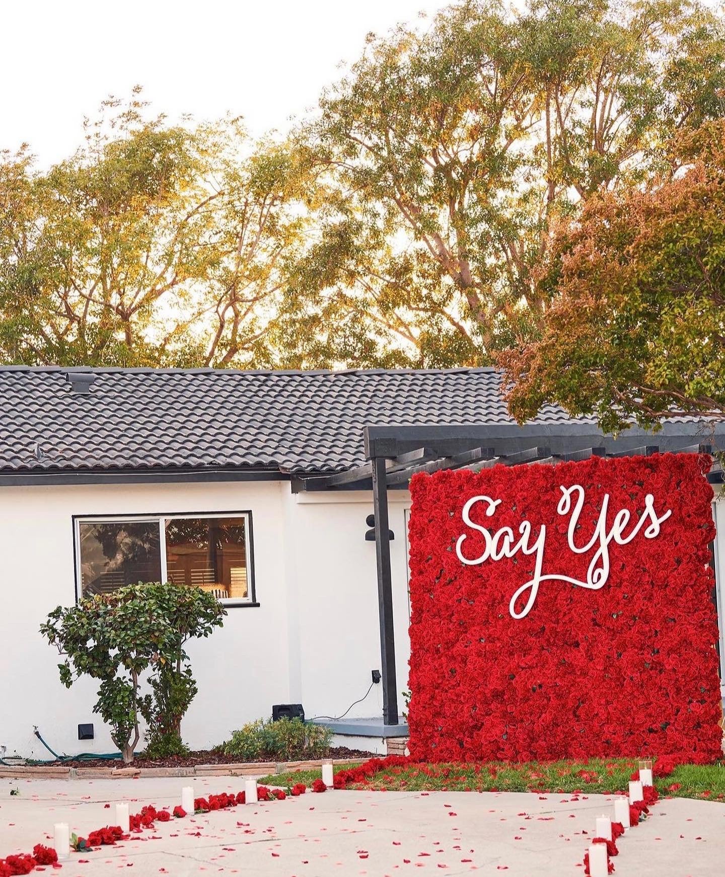 Red Silk Flower Wall