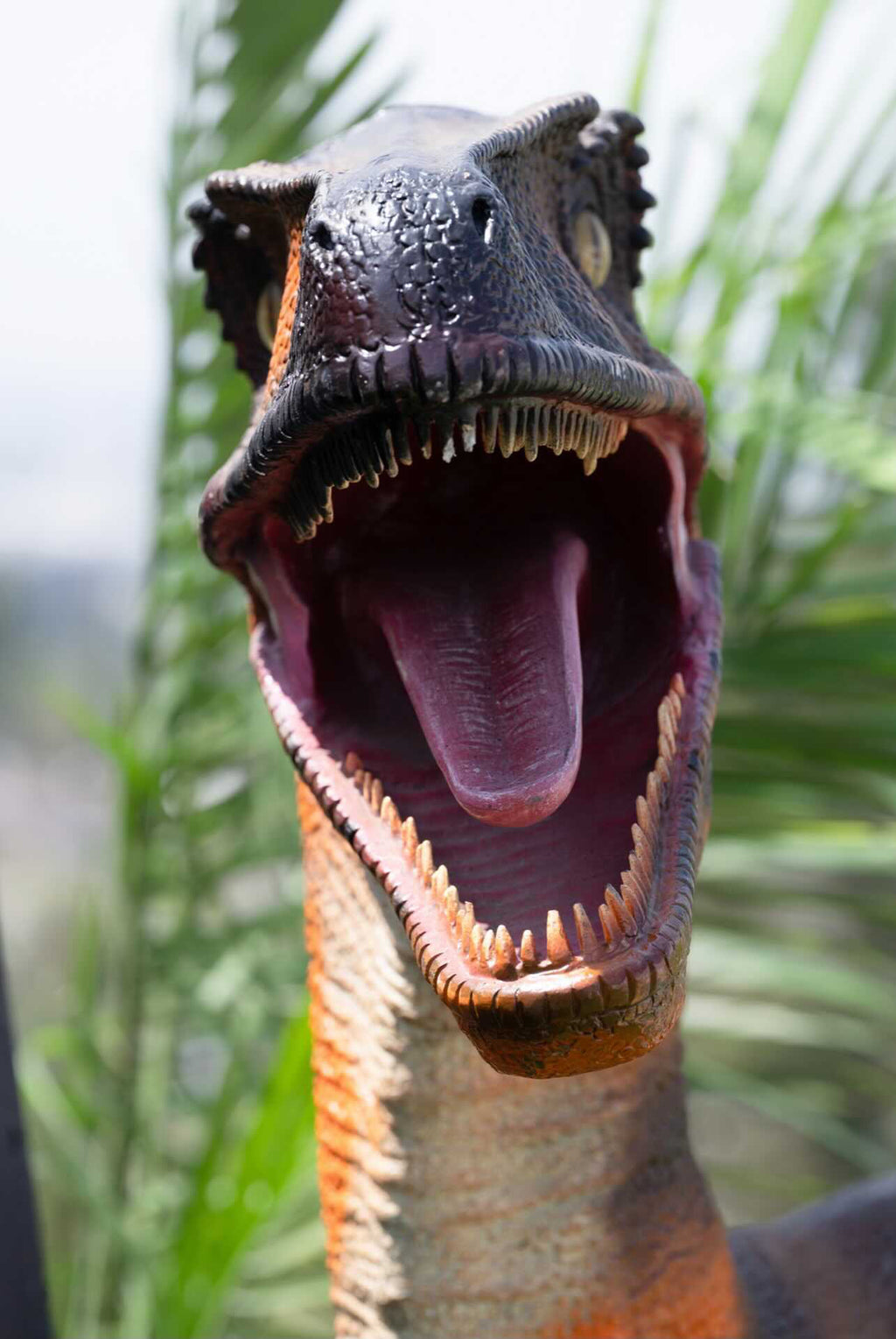 Orange Velociraptor Dinosaur
