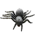 Box Of Large Spiders