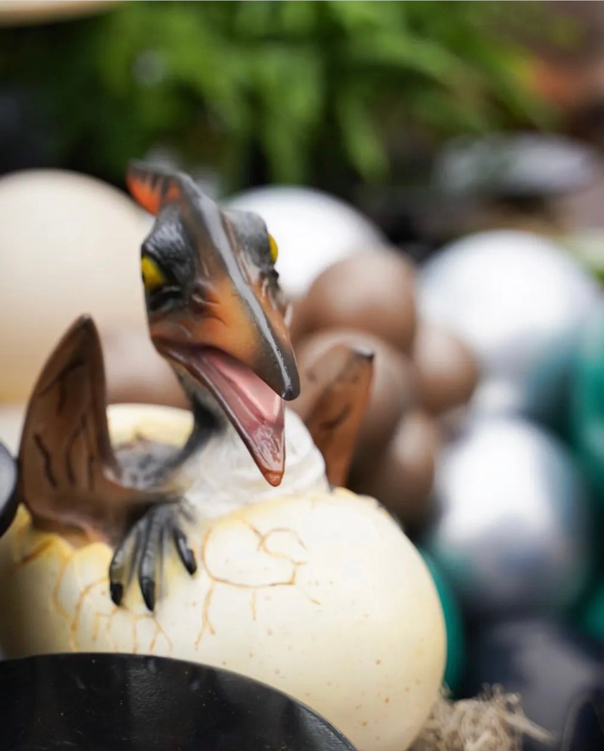 Pteranodon Dinosaur Egg