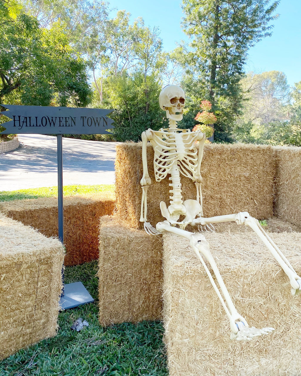 Skeleton