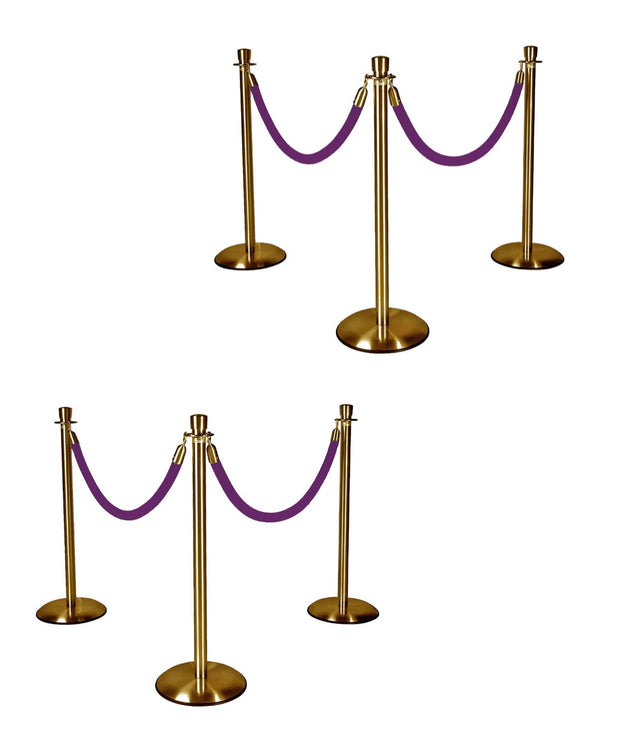 Gold Stanchions w/ Purple Ropes