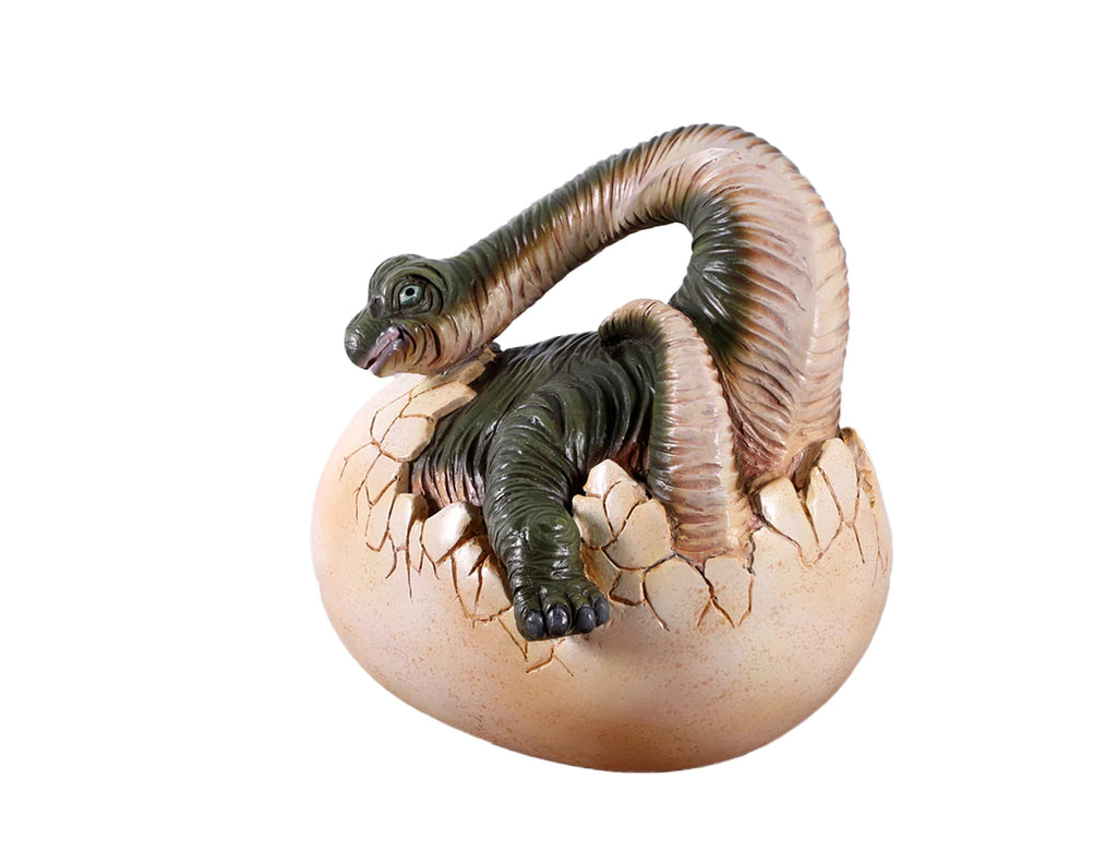 Brachiosaurus Dinosaur Egg