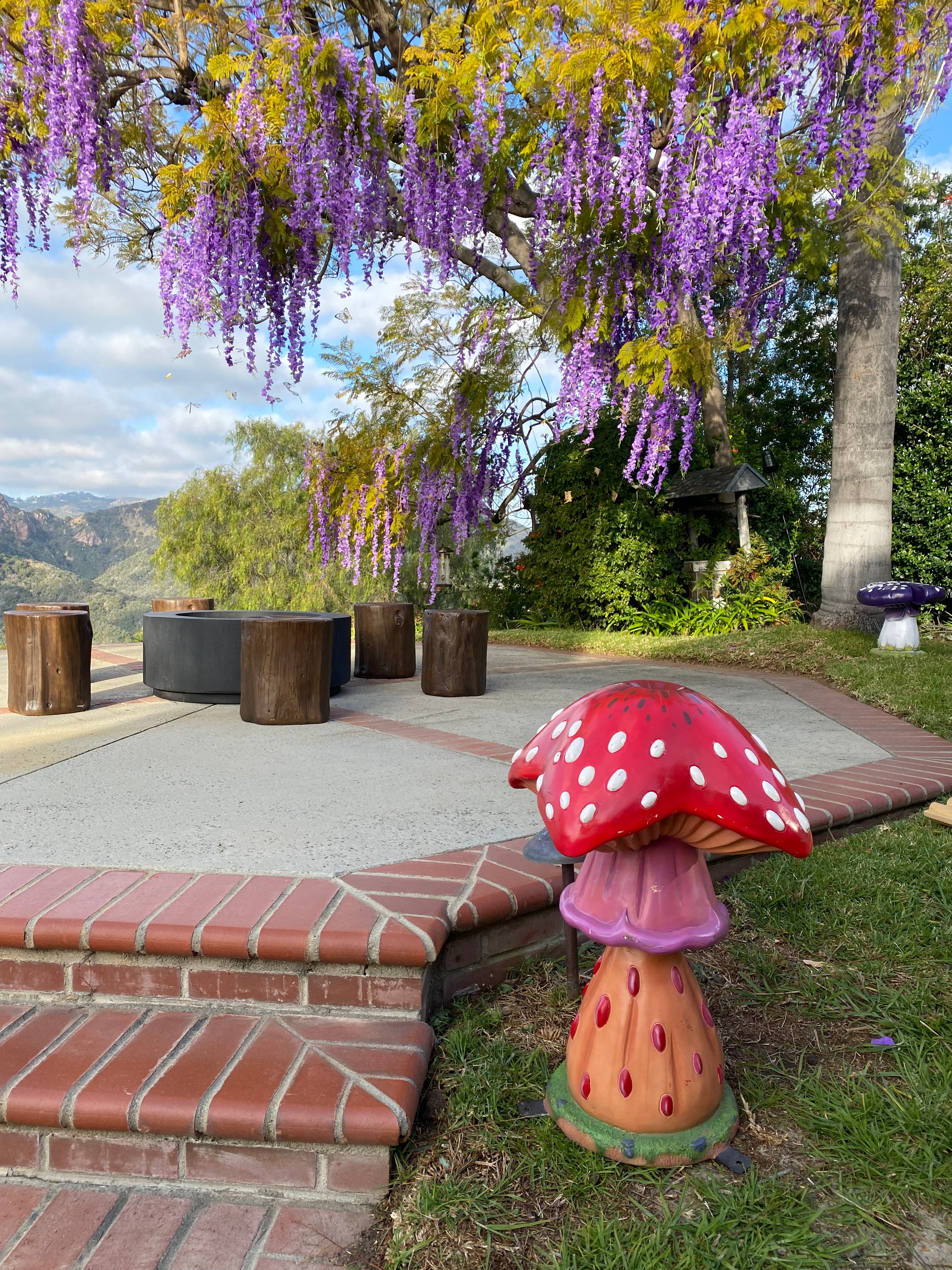 Jelly Mushroom Stool