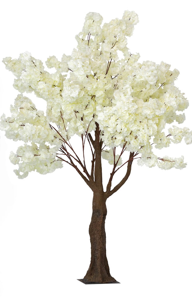5 Foot White Cherry Blossom Tree