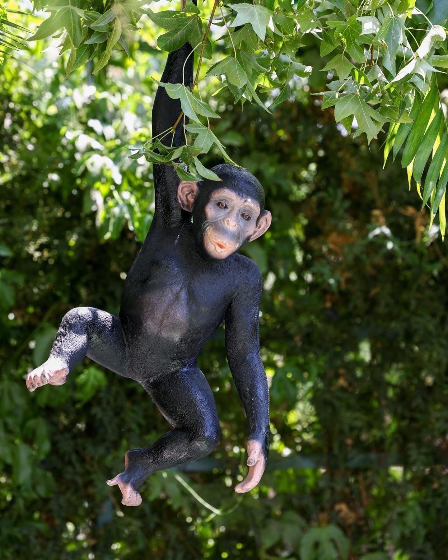 One Handed Hanging Monkey