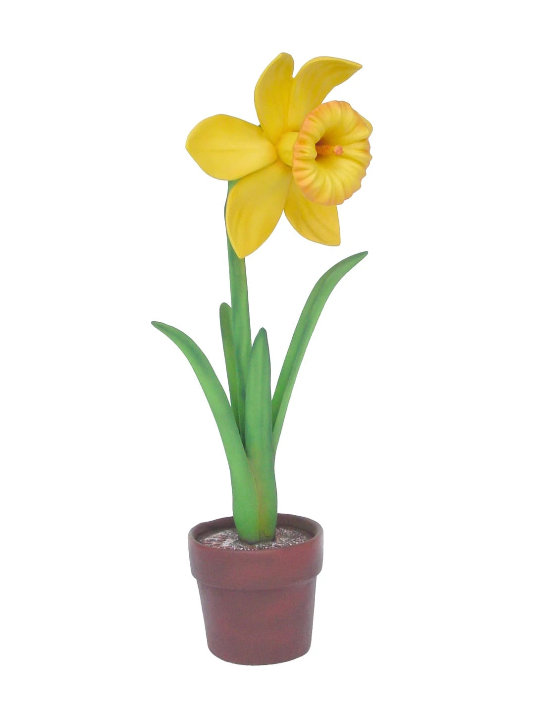 Mini Narcis Flower