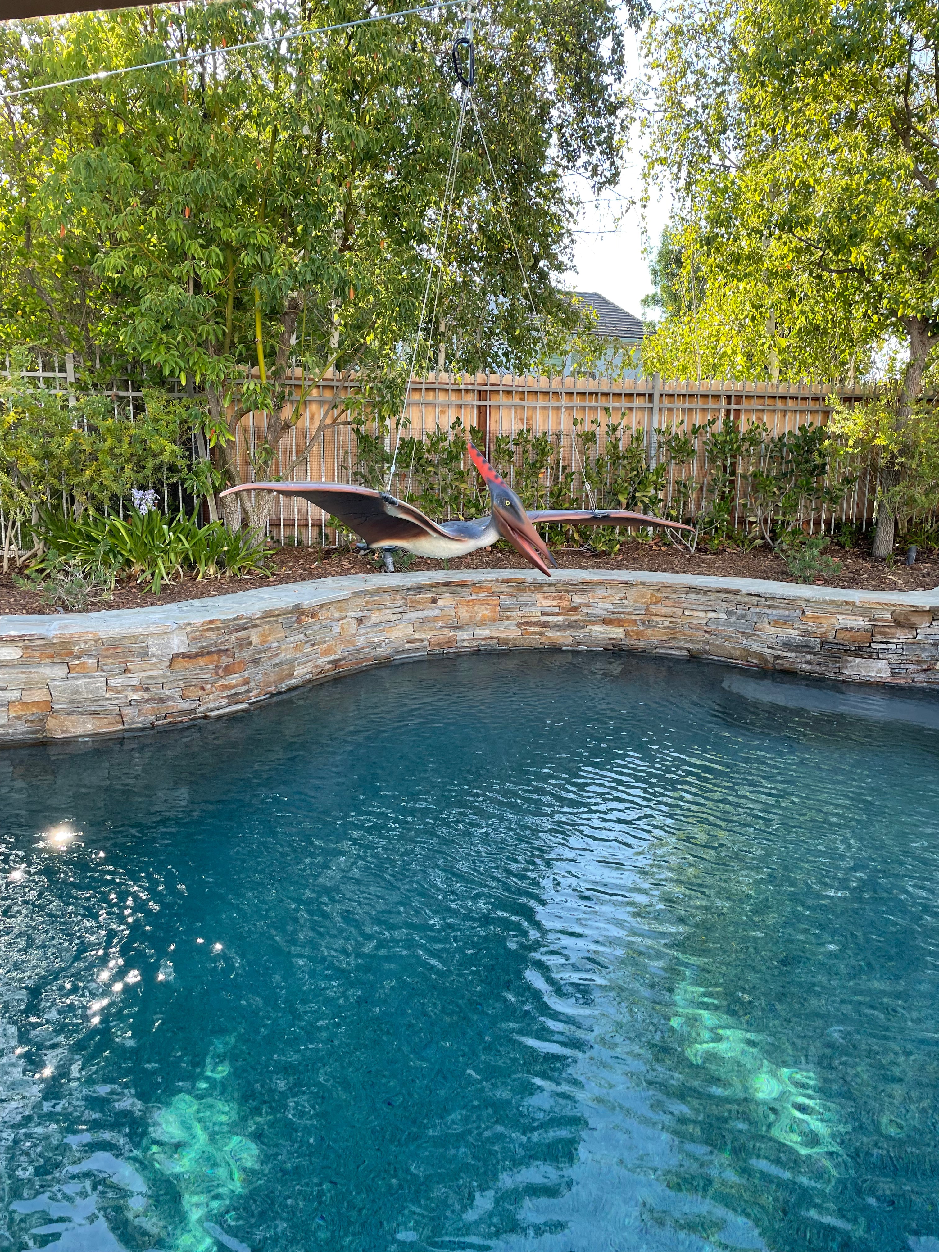 Pteranodon Flying Dinosaur