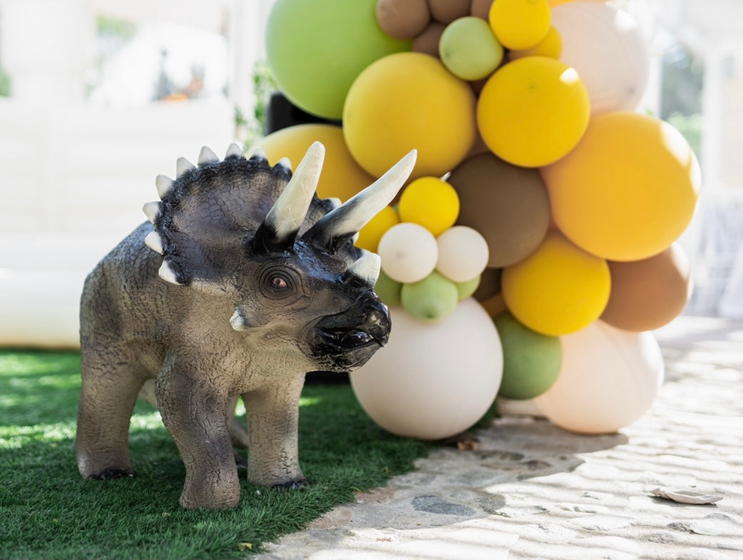 Baby Triceratops Dinosaur