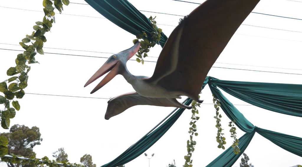 Pteranodon Flying Dinosaur
