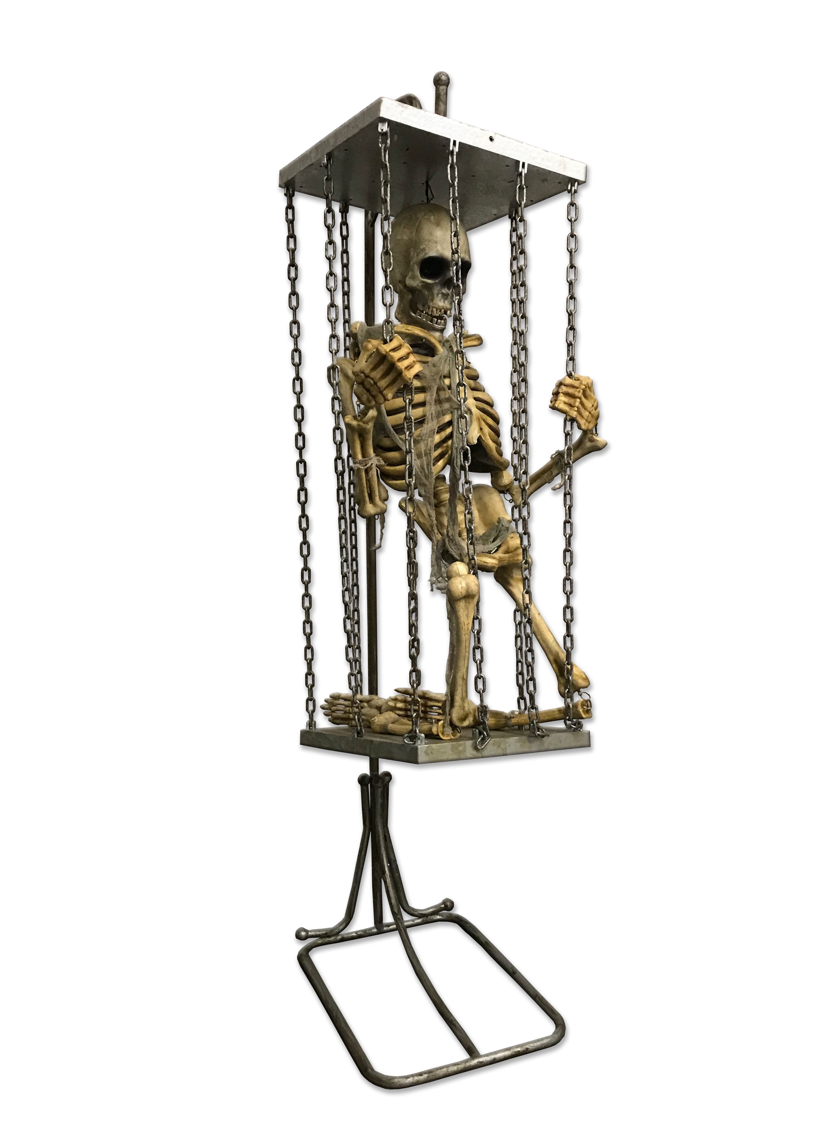 Skeleton in Hanging Cage