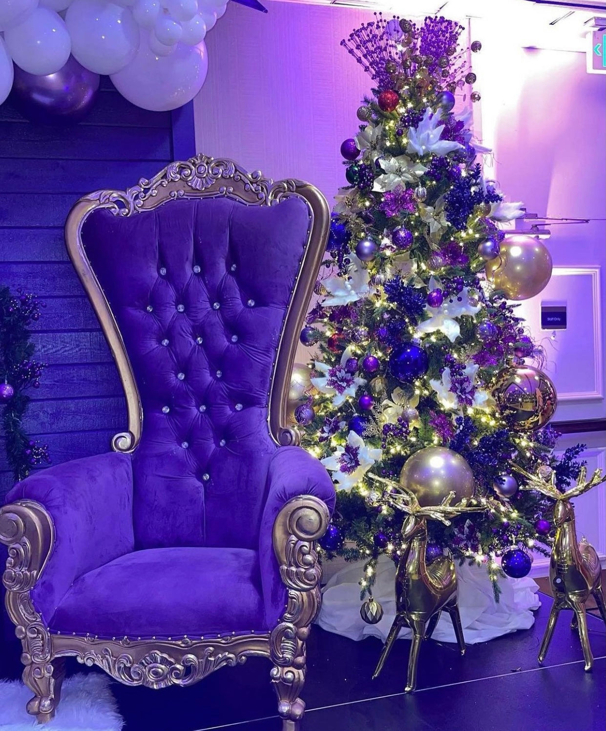 Adult Purple/Gold Royal Throne Chair