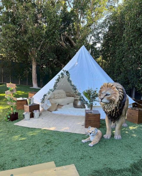 Laying Lion Cub – Platinum Prop House, Inc.