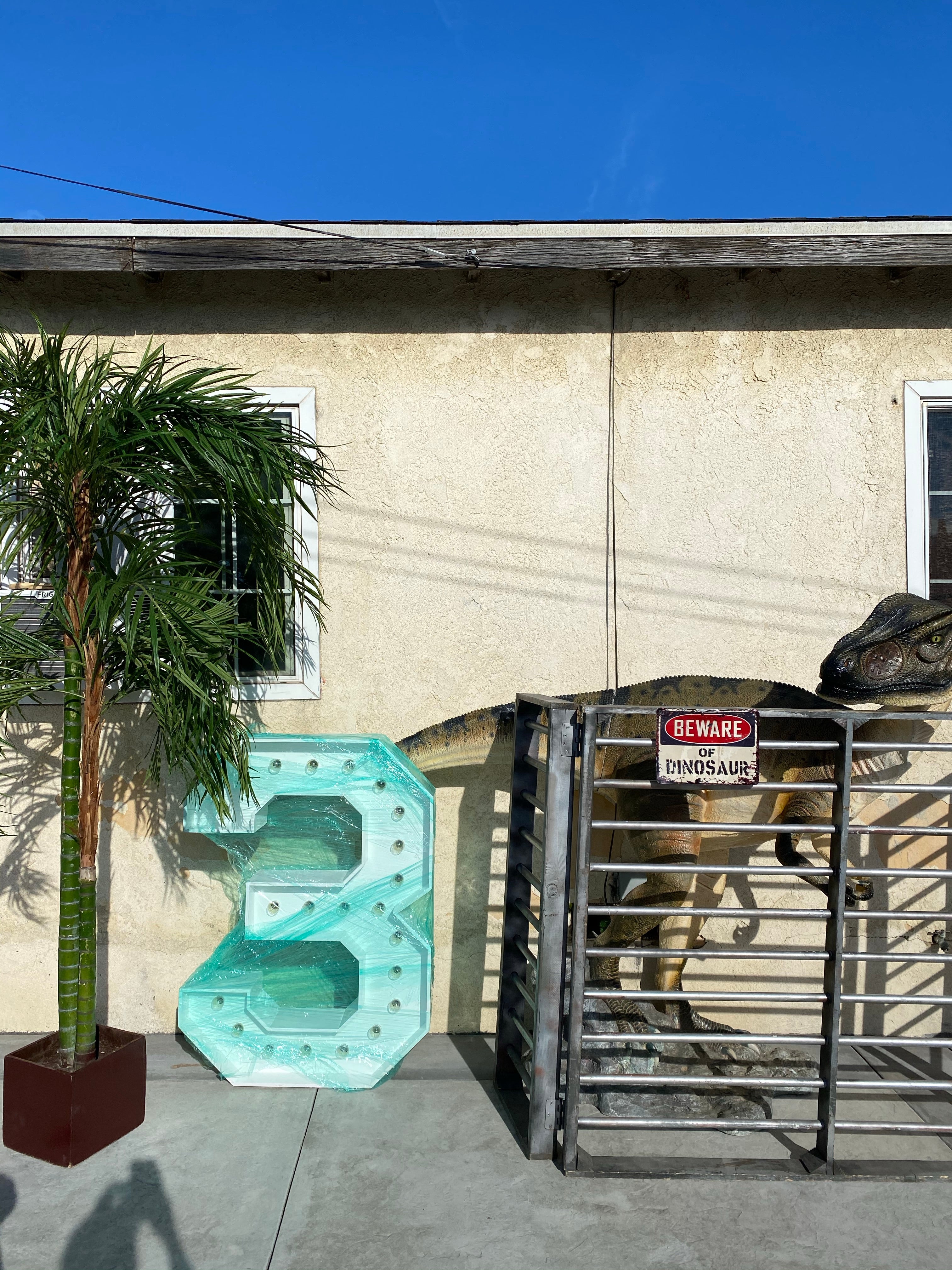 Head Turned Allosaurus Dinosaur