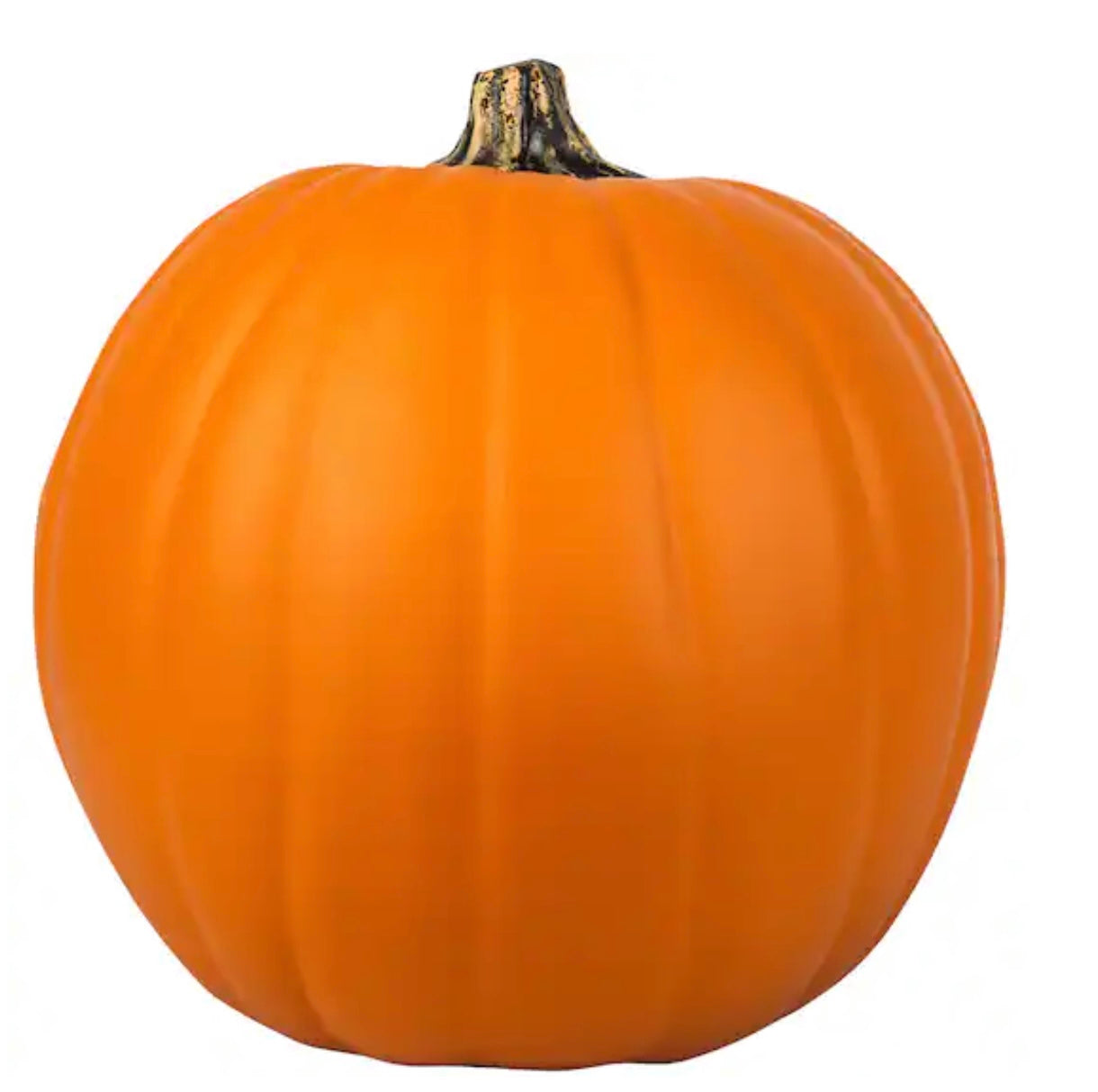 Medium Pumpkin