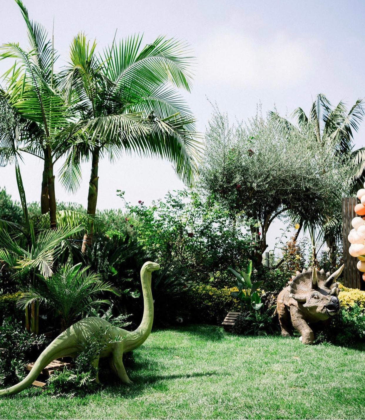 Baby Brachiosaurus Dinosaur