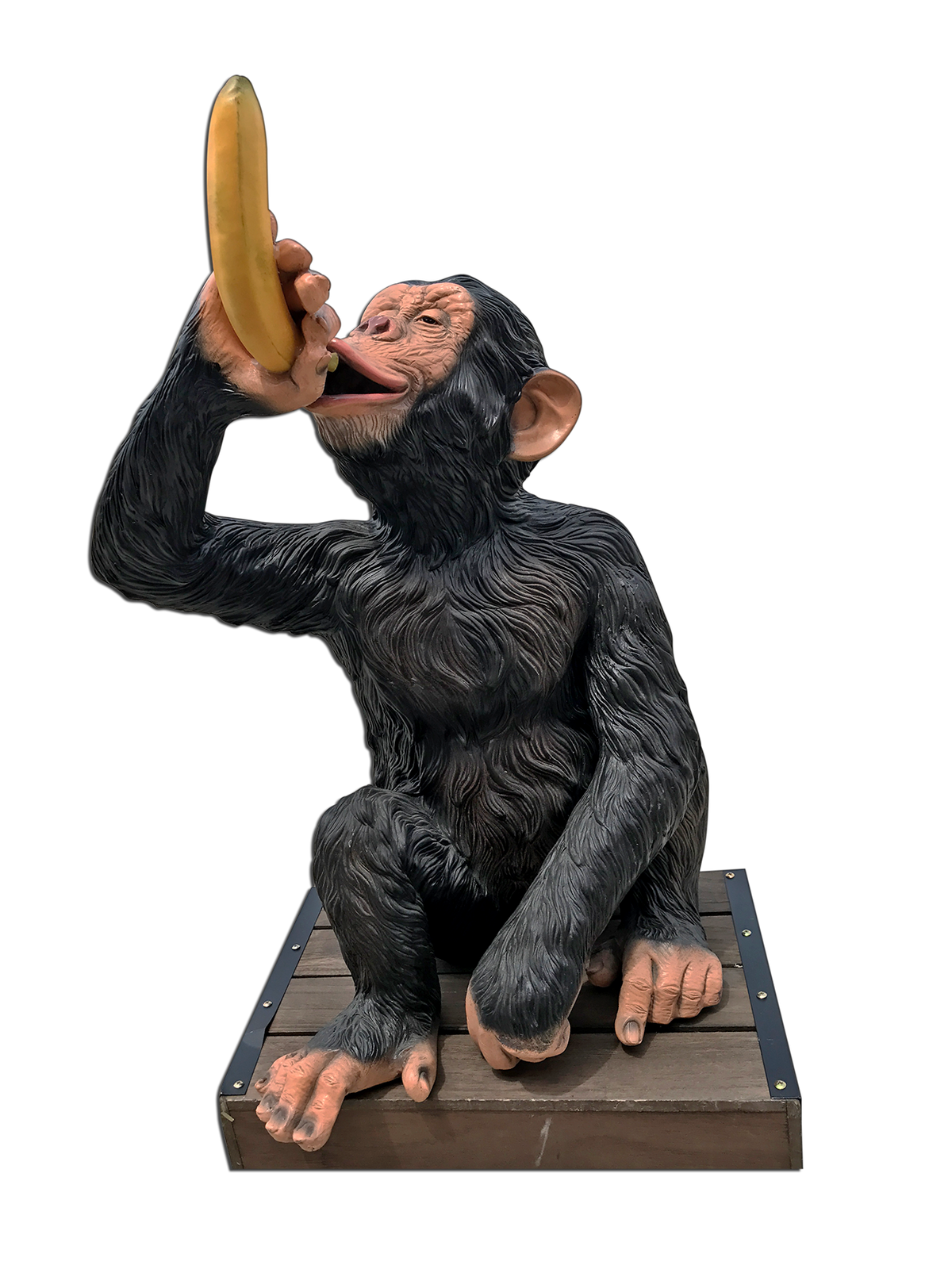 Safari Monkey