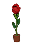 Large Rose Flower