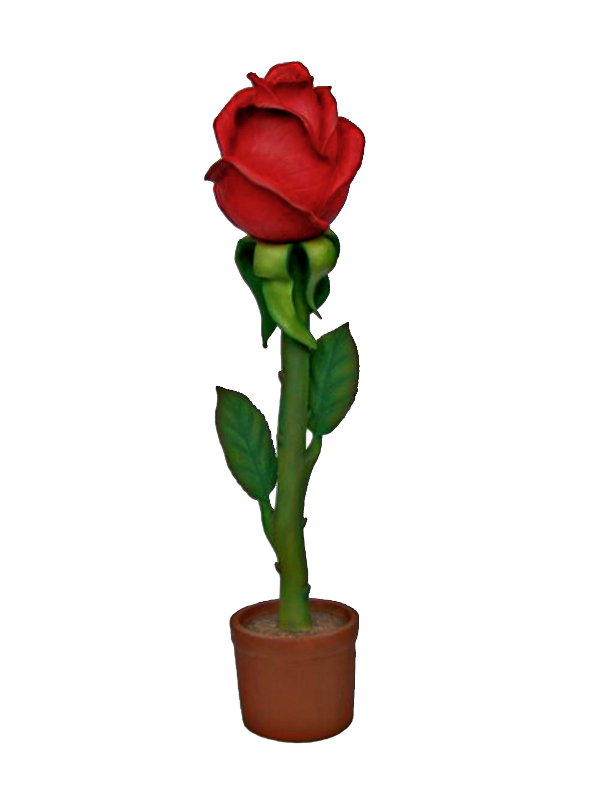 Large Rose Flower
